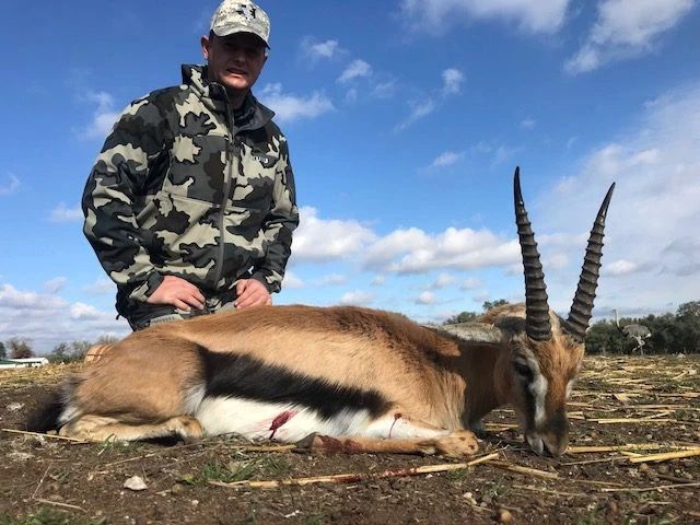 Thomson's gazelle trophy at Texas Hunt Lodge