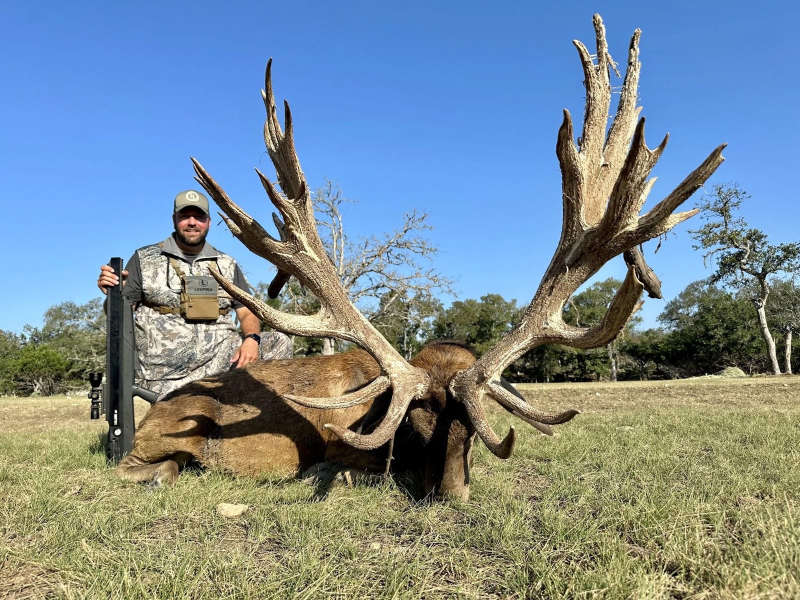 Massive trophy red stag taken at Texas Hunt Lodge